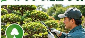 庭木の剪定作業イメージ